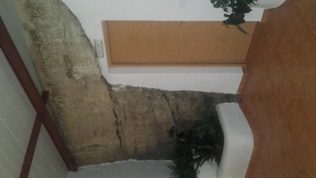 Hostal Batato Vejer de la Frontera Ngoại thất bức ảnh